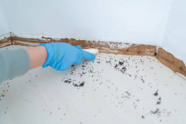 Pest Control Cost in Broadview Park, FL